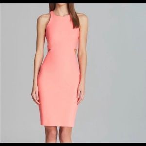Elizabeth and James Lela Sheath Cutout Dress 4